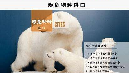 瀕危物種進(jìn)口素材圖