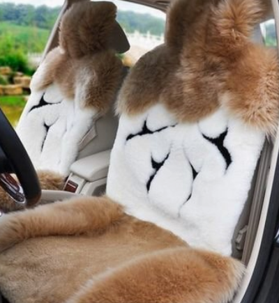 出口俄羅斯汽車(chē)坐墊素材圖