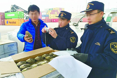 進出口通關(guān)素材圖