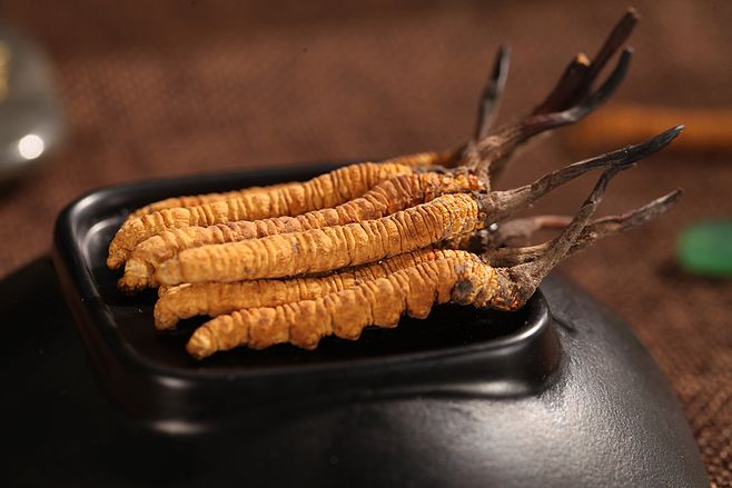 今年前半年青海省冬蟲夏草出口值穩(wěn)居全國首位