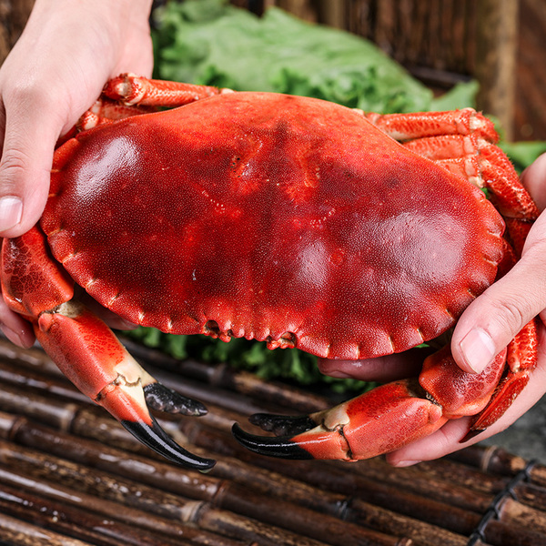 螃蟹殼進(jìn)口報關(guān)需要的資料以及需要注意的問題