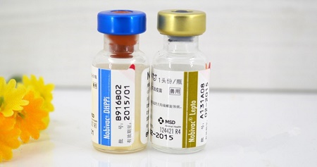 「寵物疫苗進(jìn)口報關(guān)」進(jìn)口寵物疫苗在海關(guān)的保障下順利通關(guān)