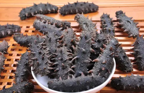 進口半干海參清關流程復雜嗎,需要經過哪些步驟？