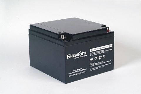 電動(dòng)車專用鉛酸蓄電池出口報(bào)關(guān)的操作流程是什么？