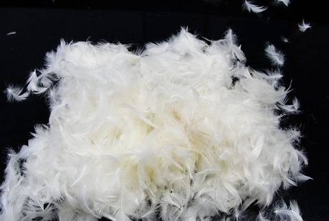 安徽前三季度羽絨羽毛出口量穩(wěn)居第一