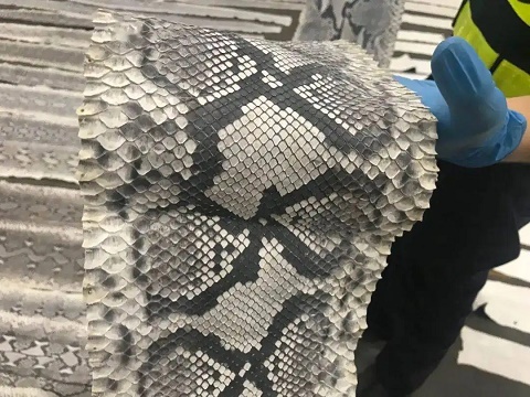 瀕危野生動物制品的相關(guān)介紹及產(chǎn)品案例